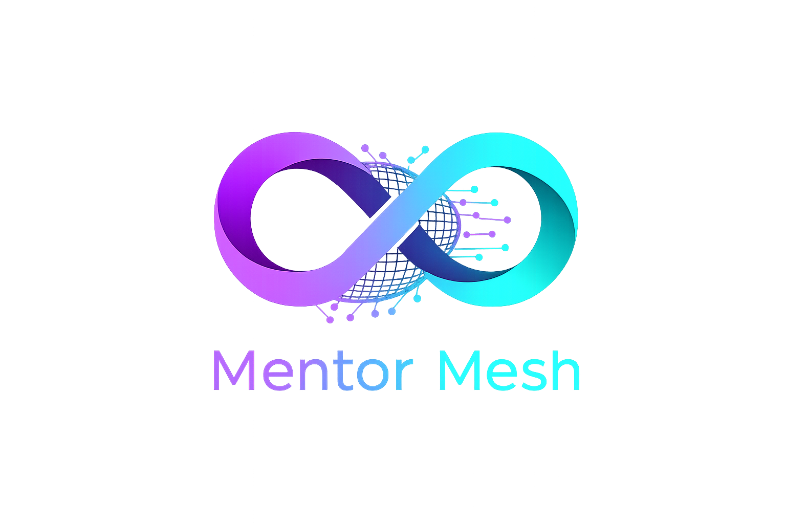 Mentor Mesh